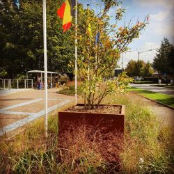 Geroba rechthoekige plantenbak Artesa B9 1000x1000x600mm - Cortenstaal