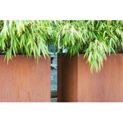 Geroba rechthoekige plantenbak Artesa B12 1200x1200x600mm - Cortenstaal