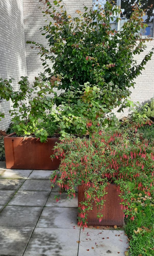 Geroba Geroba Artesa B22 rechthoekige plantenbak 1000x400x400mm - Cortenstaal