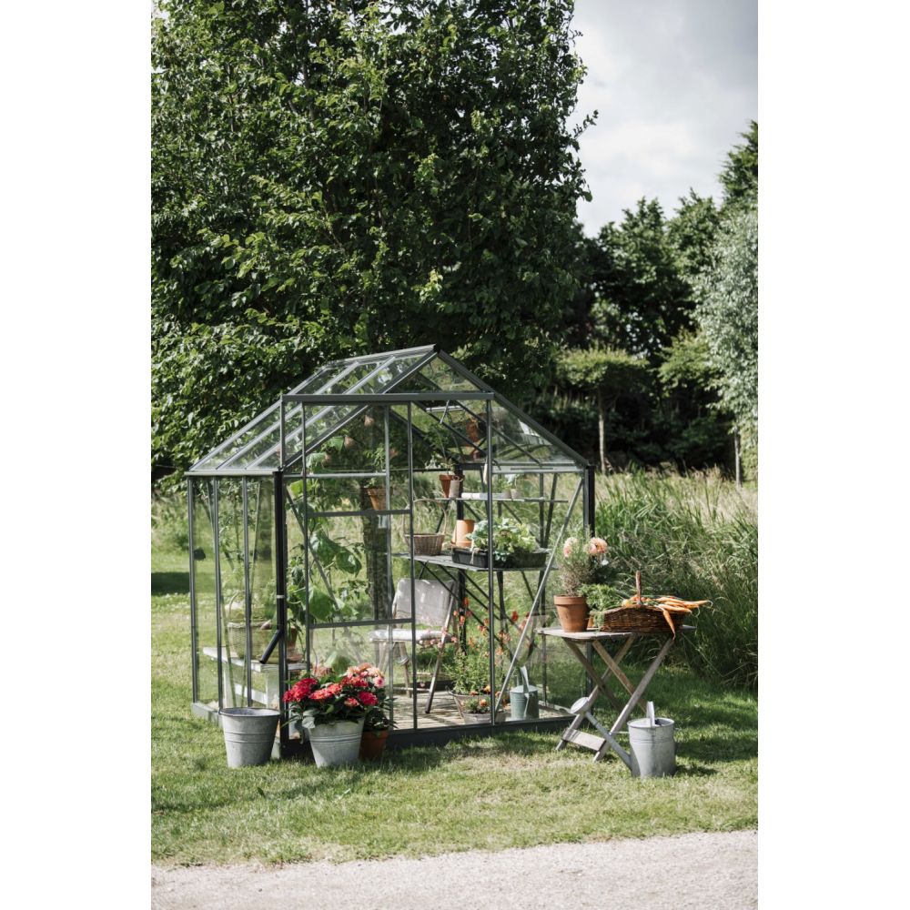 Royal Well tuinkas Kate 1 met veiligheidsglas en fundering - groengrijs