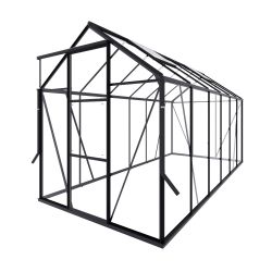 Royal Well tuinkas Kate 4 met veiligheidsglas en fundering - zwart