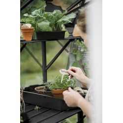 Royal Well kweekschap voor tuinkas Mary 2 - zwart