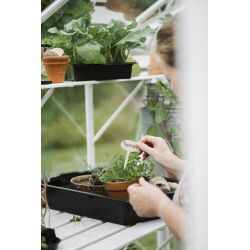 Royal Well kweekschap voor tuinkas Mary 3 - wit