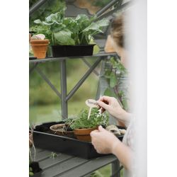 Royal Well kweekschap voor tuinkas Mary 4 - groengrijs