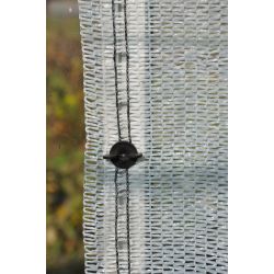 Royal Well snapshots (set van 20 stuks)