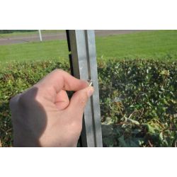 Royal Well hamerkopbouten en moeren aluminium (set van 20 stuks)