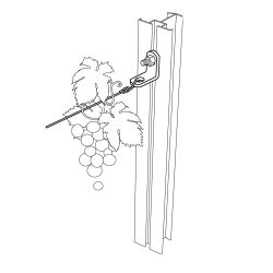 Royal Well uni L-beugels (set van 5 stuks)