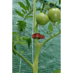 Royal Well tomatenclips (set van 20 stuks)