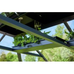 Juliana top shelf voor tuinkas - zwart