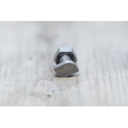 Royal Well hamerkopbouten en moeren RVS (set van 10 stuks)