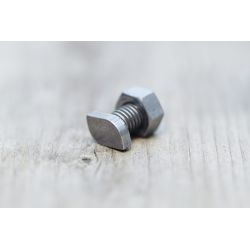 Royal Well hamerkopbouten en moeren RVS (set van 10 stuks)