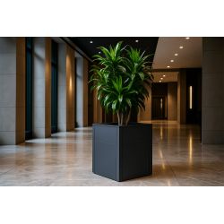 4gardenz vierkante plantenbak met verhoogde bodem 50x50x60cm - antraciet