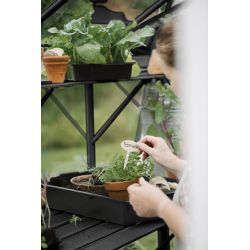 Royal Well kweekschap voor tuinkas Anne 1 - zwart