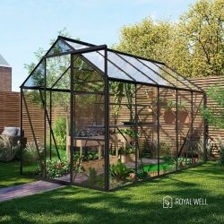 Royal Well Kate 3 tuinkas met veiligheidsglas en fundering - zwart