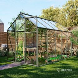 Royal Well Kate 3 tuinkas met veiligheidsglas en fundering - groengrijs