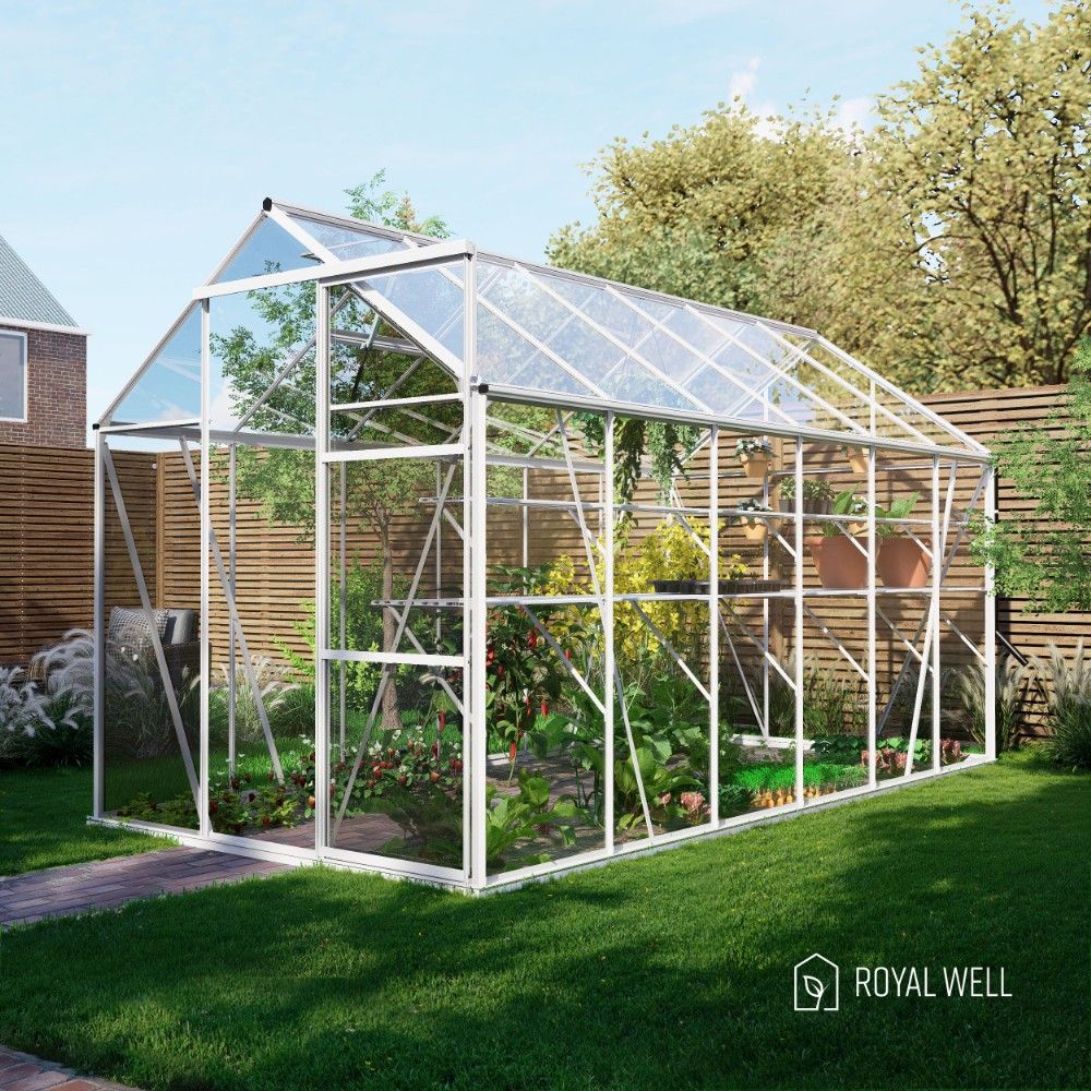 Royal Well Kate 4 tuinkas met veiligheidsglas en fundering - wit