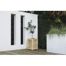 Royal Well Max bloembak/plantenbak 60x40x40 cm - hout