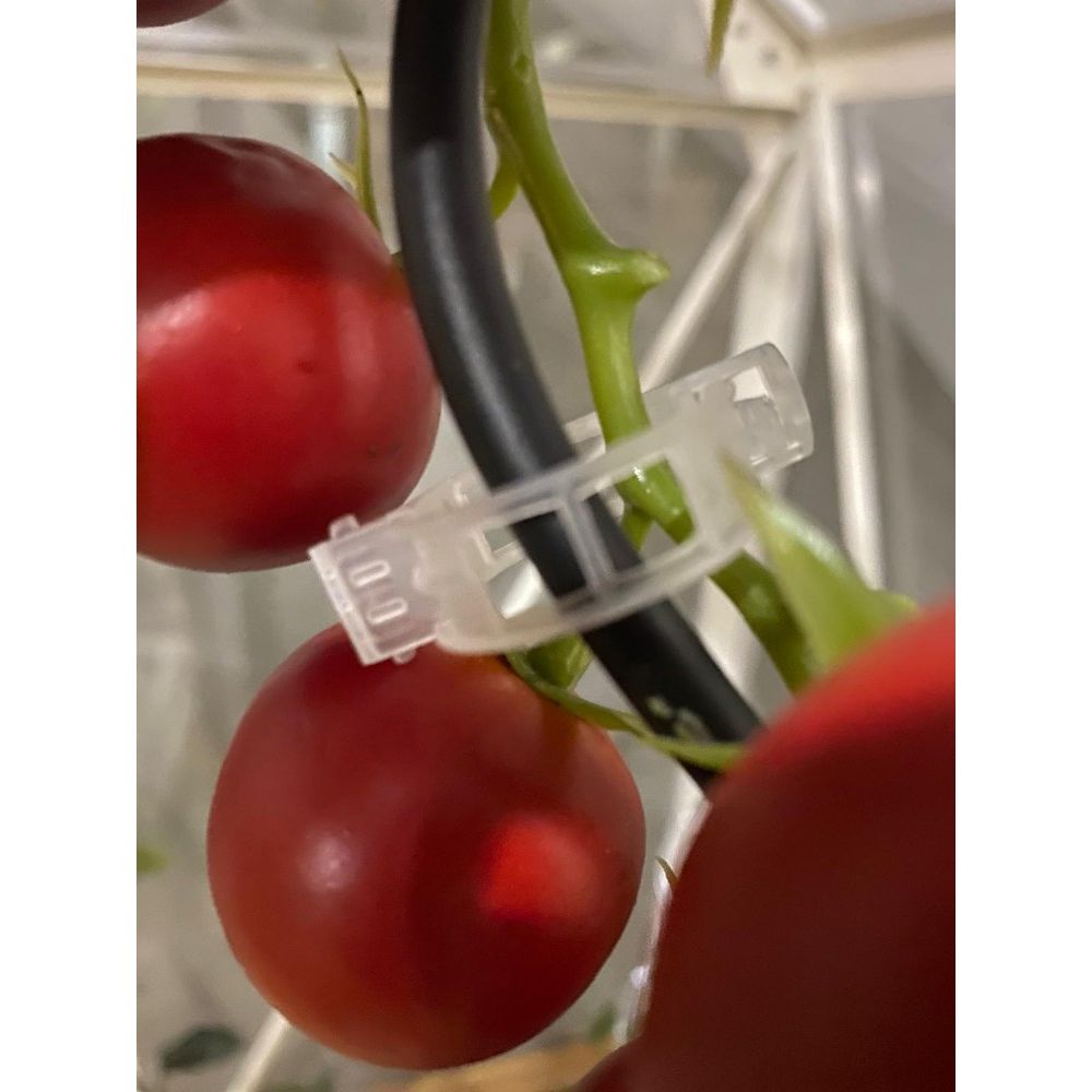 Royal Well tomatenclips (set van 20 stuks)