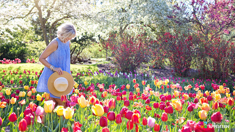 Bloemenpark Appeltern